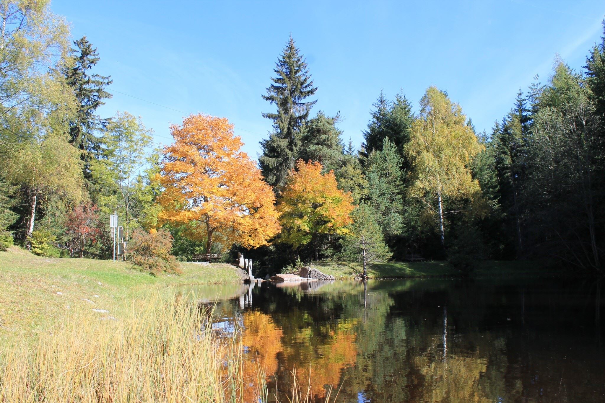 Landschaftsteich Piller