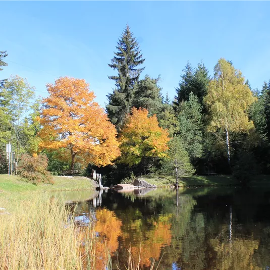 Landschaftsteich Piller