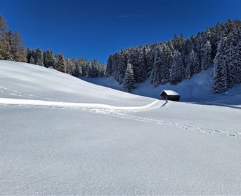 Langlaufen am Gachenblick