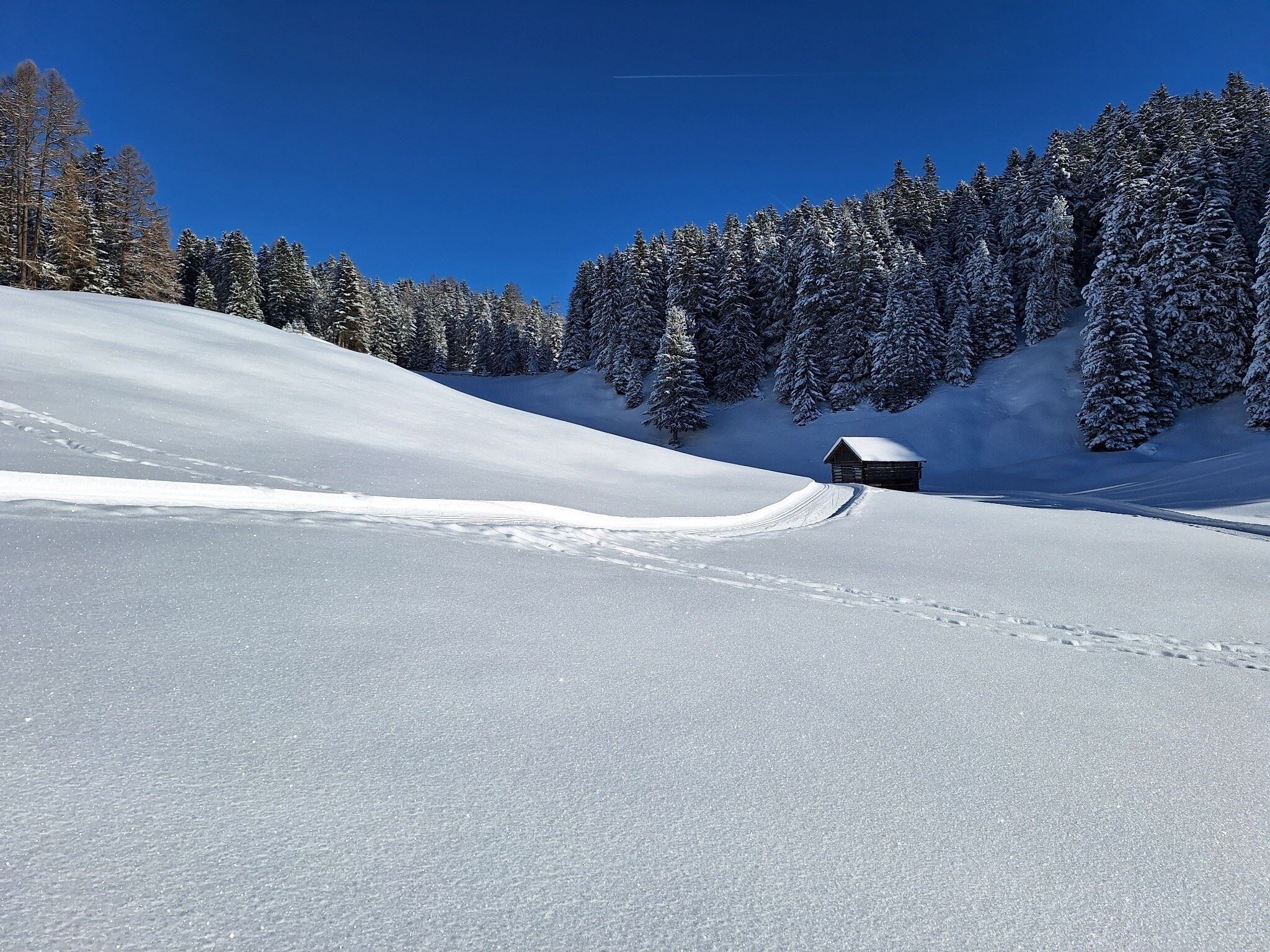 Langlaufen am Gachenblick