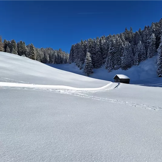 Langlaufen am Gachenblick