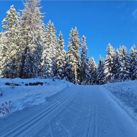 Langlaufen am Gachenblick