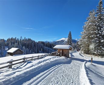 Langlaufen am Gachenblick