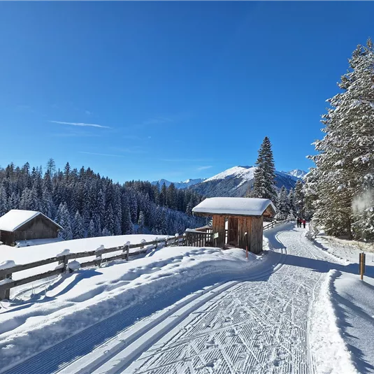 Langlaufen am Gachenblick