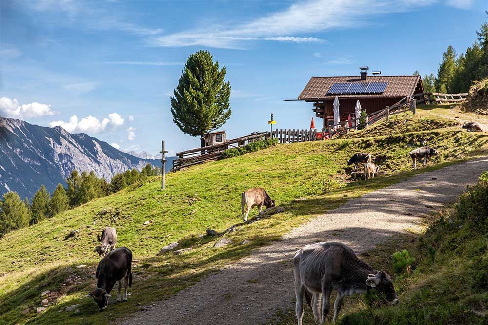 Herbstwanderung am Hochzeiger