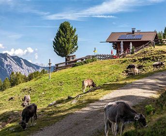 Leiner Alm