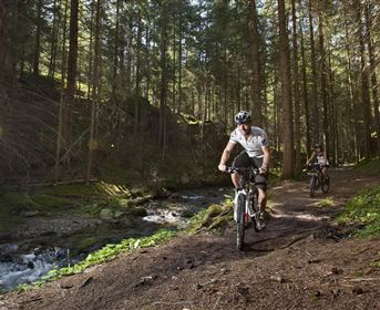 MTB