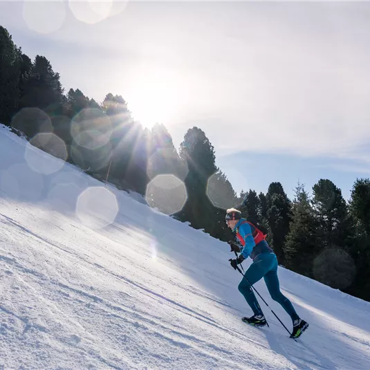 PAST Mega