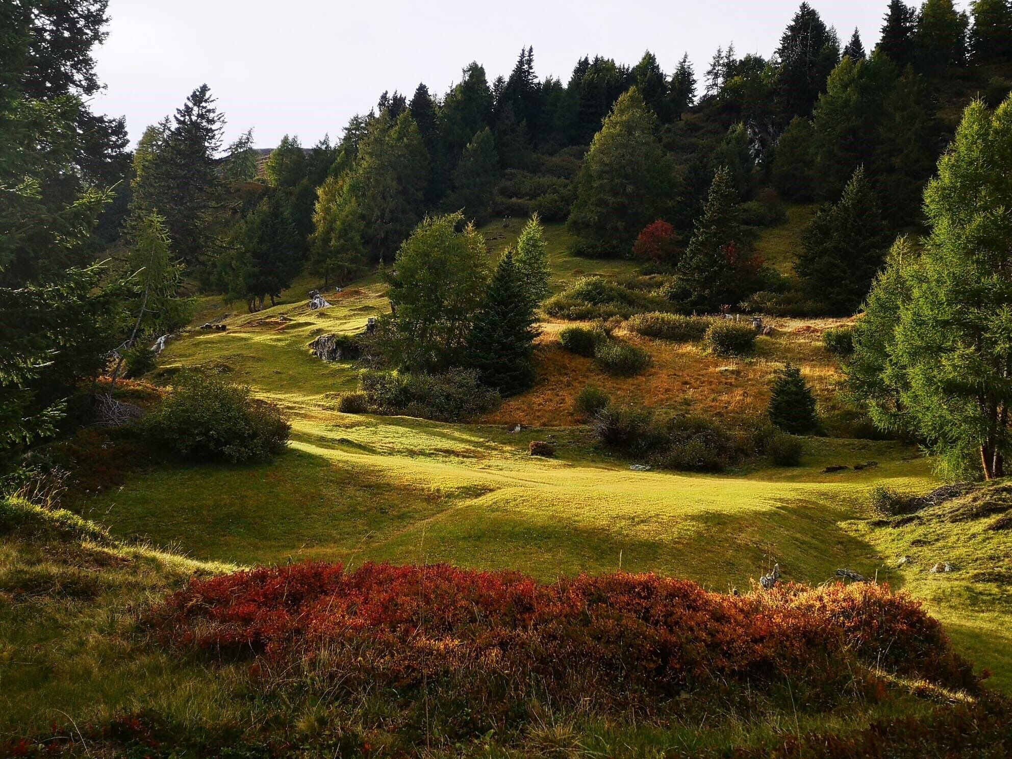 2) Piller Moor - Naturparkhaus - Kult-ur-weg