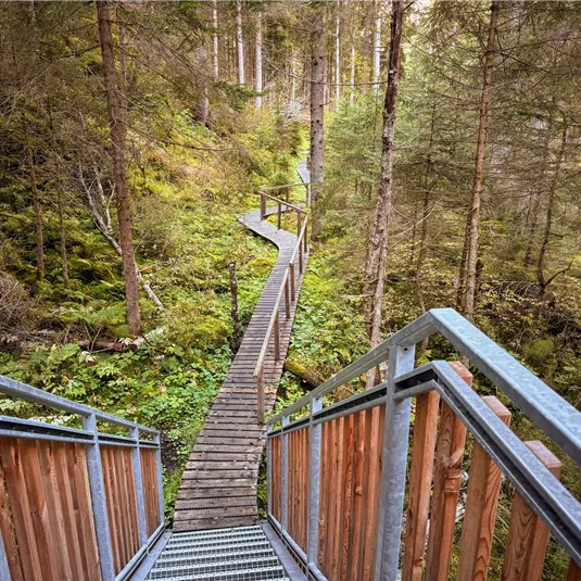 Pitzenschlucht