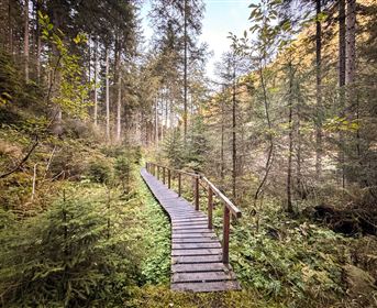 tvb-pitztal-pitzenschlucht_1.jpg