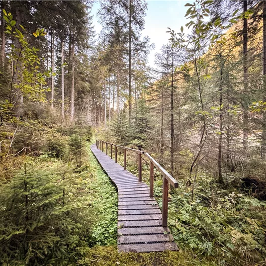 Pitzenschlucht