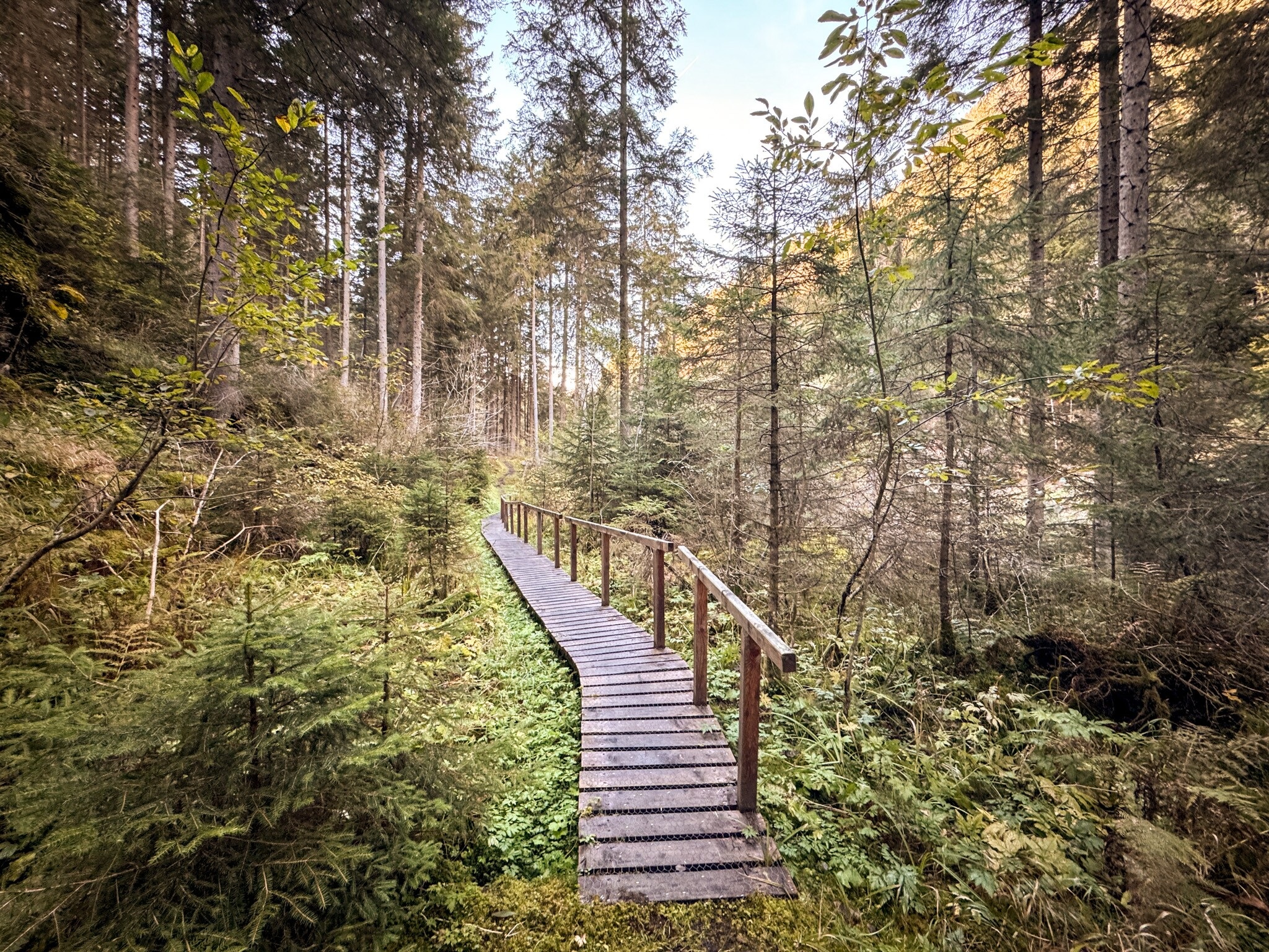 Wanderung zur Pitzenschlucht