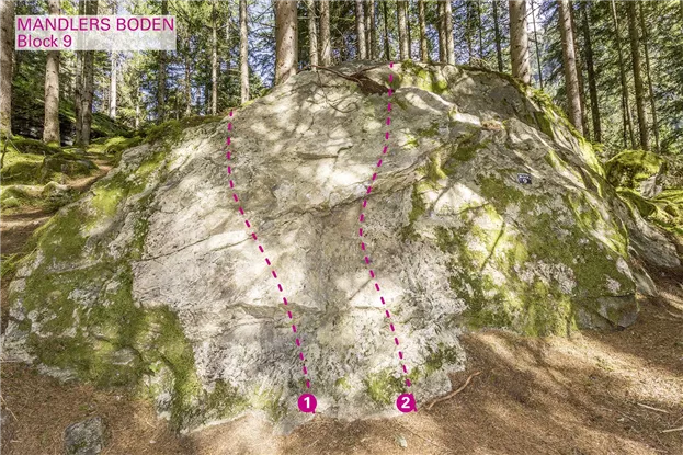 Pitztal_Boulder_Mandlers Boden_Block09_75dpi.jpg