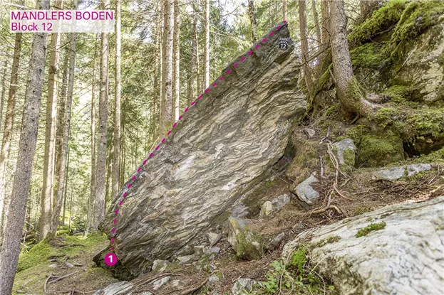 Pitztal_Boulder_Mandlers Boden_Block12_75dpi.jpg