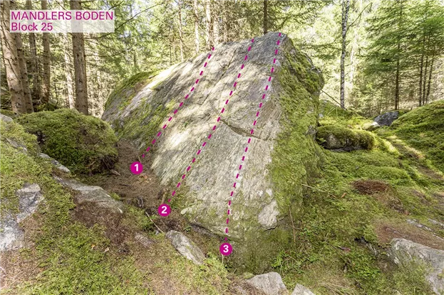 Pitztal_Boulder_Mandlers Boden_Block25_75dpi.jpg