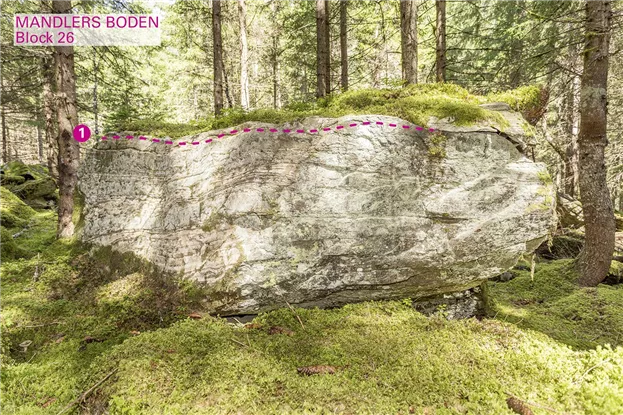 Pitztal_Boulder_Mandlers Boden_Block26_75dpi.jpg