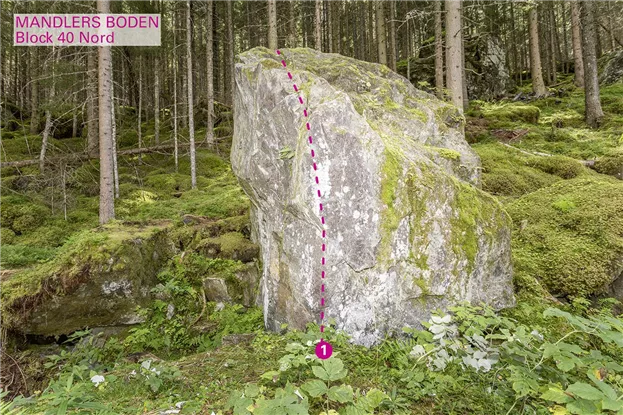 Pitztal_Boulder_Mandlers Boden_Block40Nord_75dpi.jpg