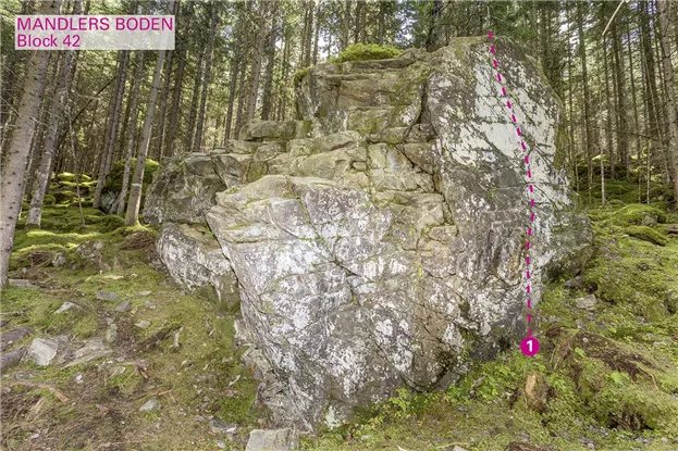 Pitztal_Boulder_Mandlers Boden_Block42_75dpi.jpg