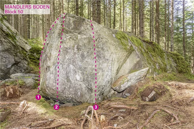 Pitztal_Boulder_Mandlers Boden_Block50_75dpi.jpg