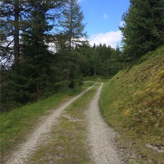 Venet-Rundwanderweg - Richtung Venetalm