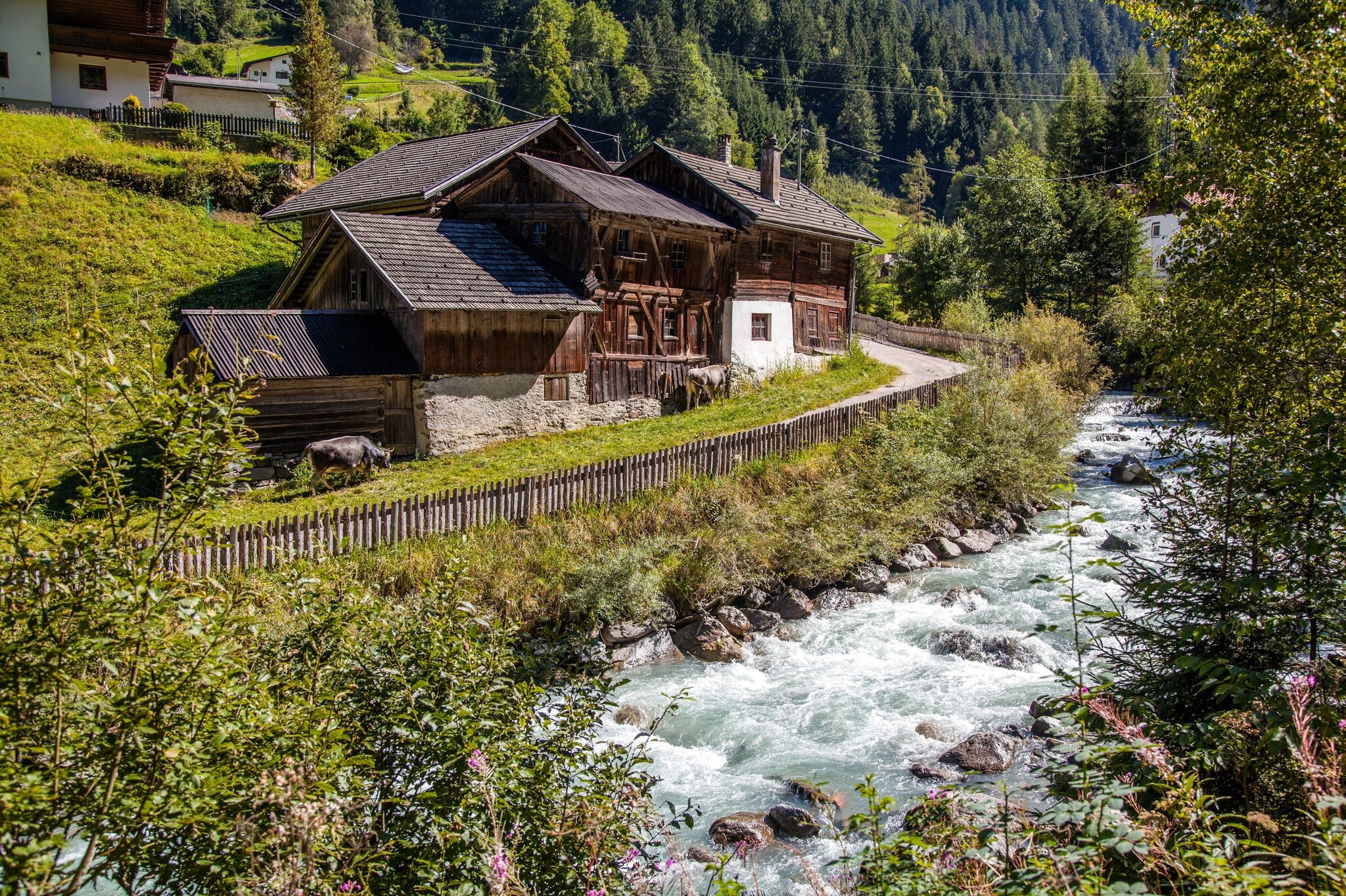 Wanderung nach Ritzenried