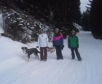 Rodelbahn Piller