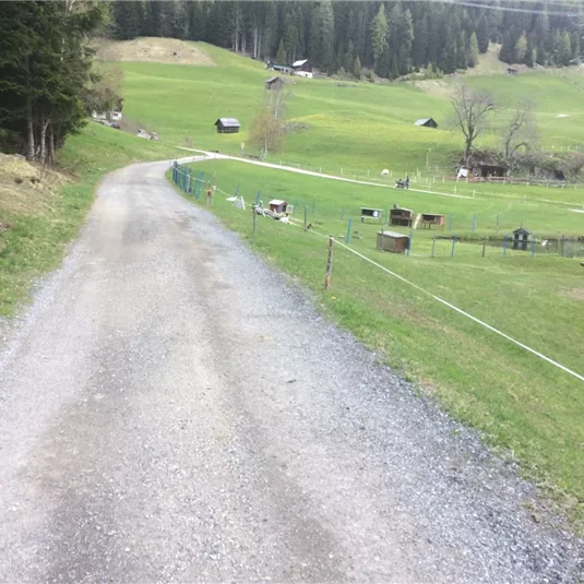 Rundweg Landschaftsteich Piller