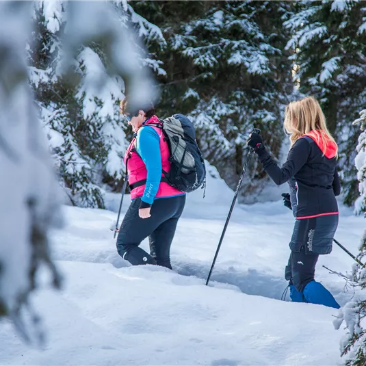 schneeschuhwanderungtvbpitztal_4.jpg