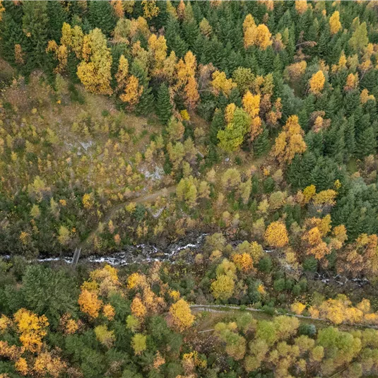 Söllbergwasserfall in autumn