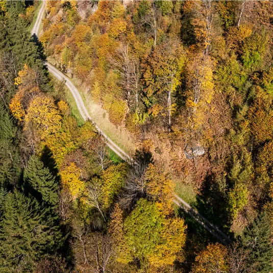Stuiben waterfall in autumn