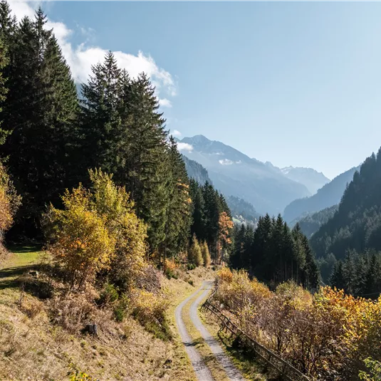 Stuiben waterfall in autumn