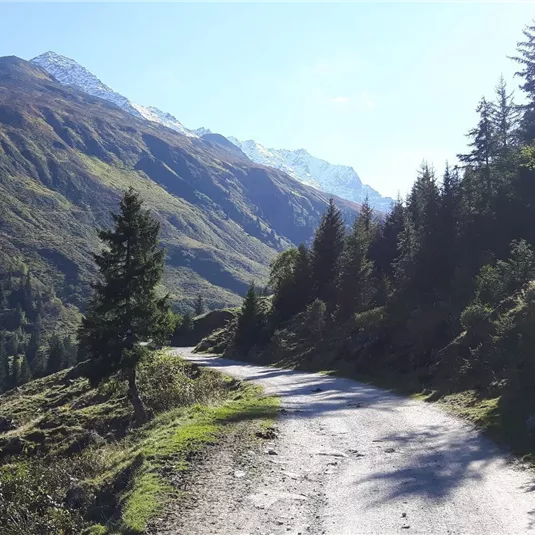 Swisstrac Wanderung zur Taschachalm