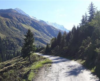 Swisstrac Wanderung zur Taschachalm