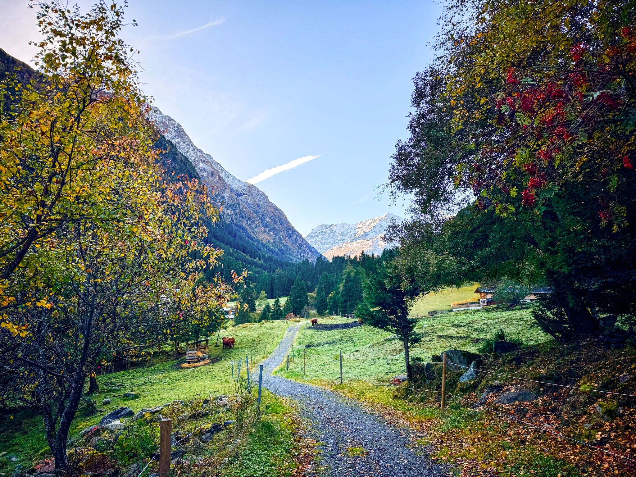 Valley hiking trail in autumn