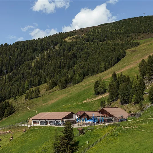 Tanzalm