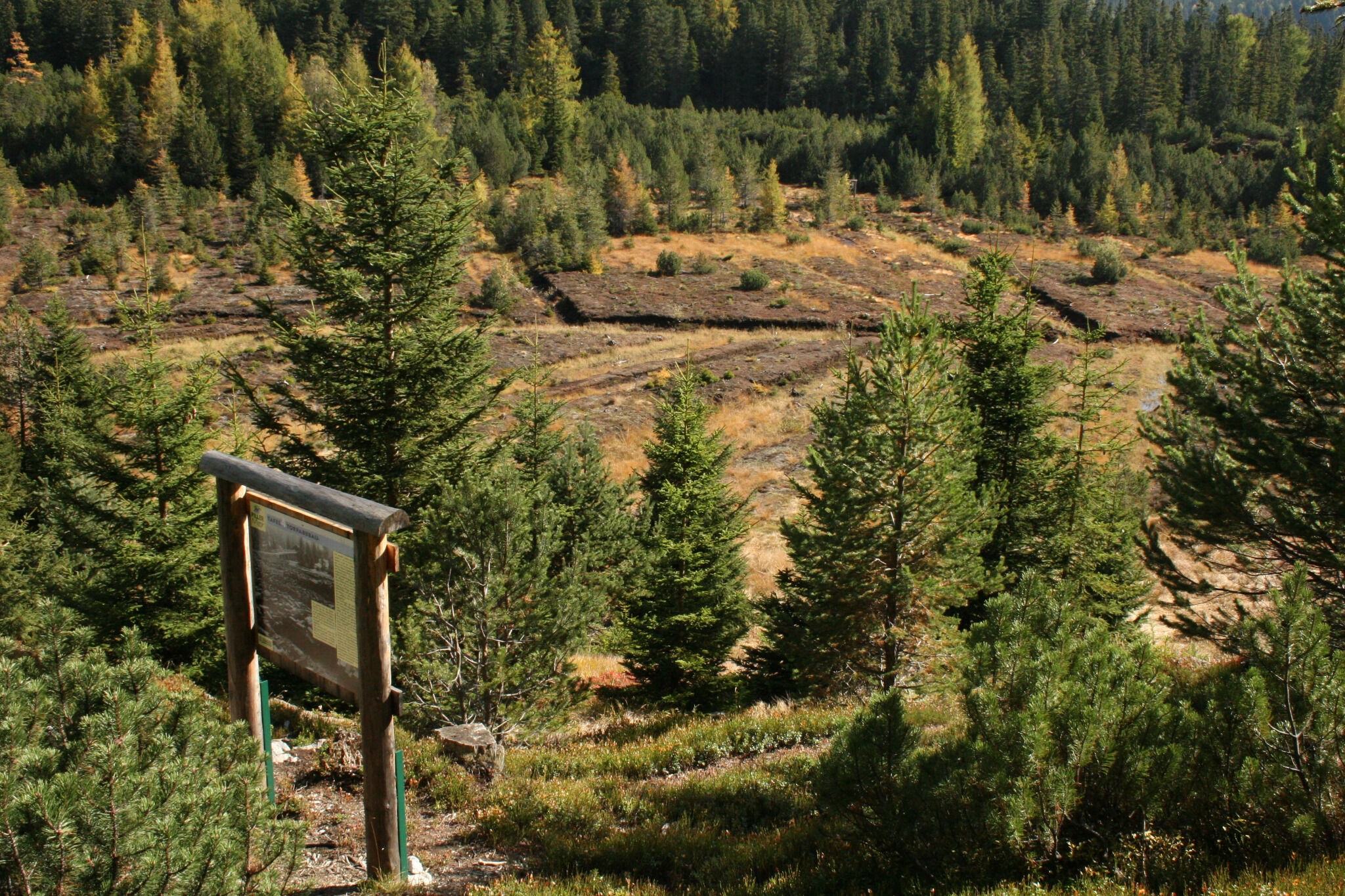1) Piller Moor - Naturparkhaus - Kult-ur-weg