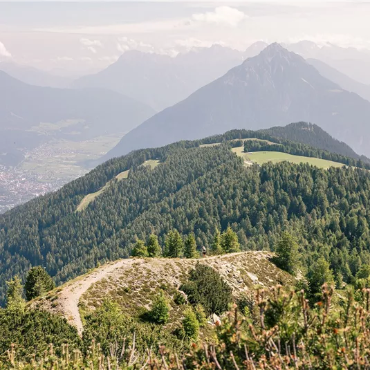 Trail Running Venet