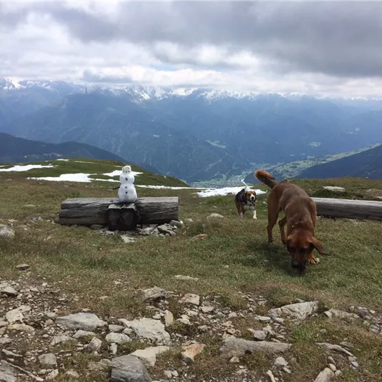 Venet-Rundwanderweg - Ausblick von der Glanderspitze
