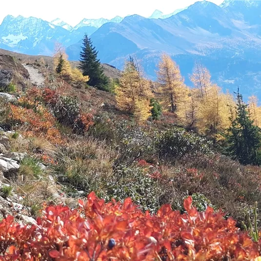 Venet hiking in autumn