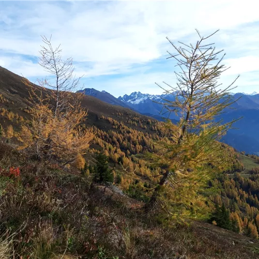 Venet hiking in autumn