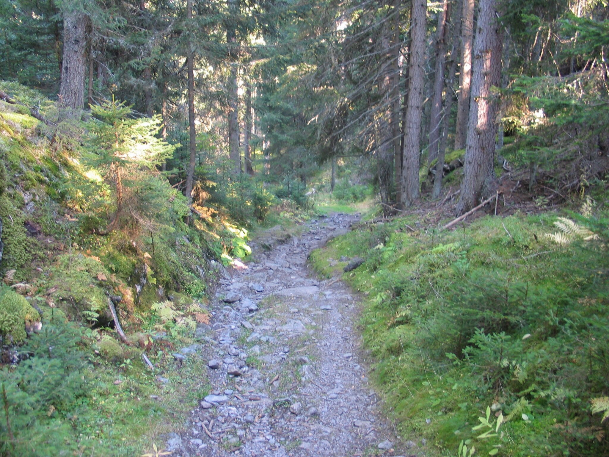3) Piller Fischteich