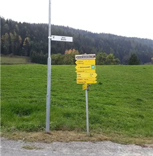 Wald 4