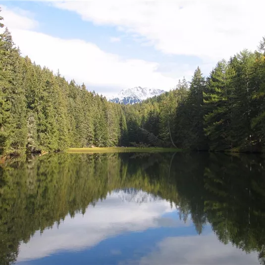 Waldweiher.jpg