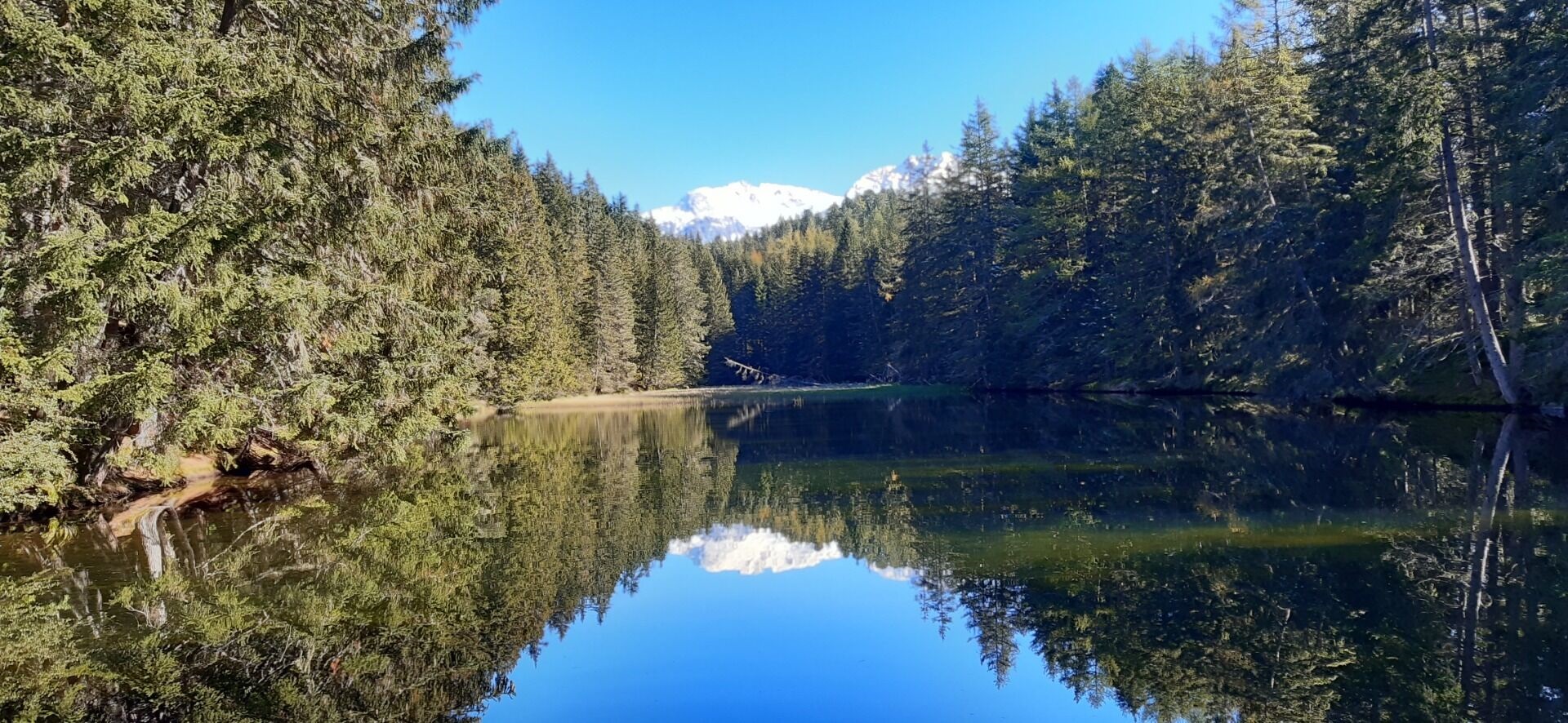 Wanderung zum Waldweiher