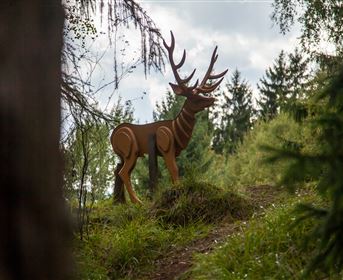 Wildlife adventure trail