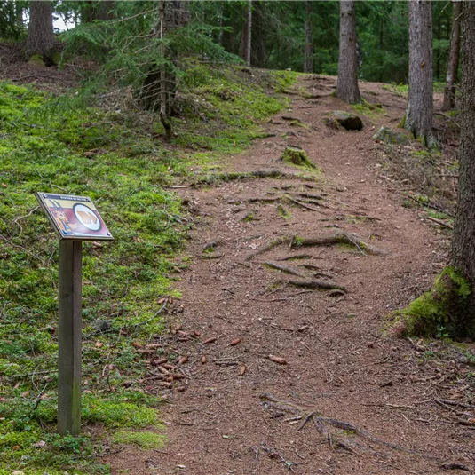 Wildtiererlebnispfad