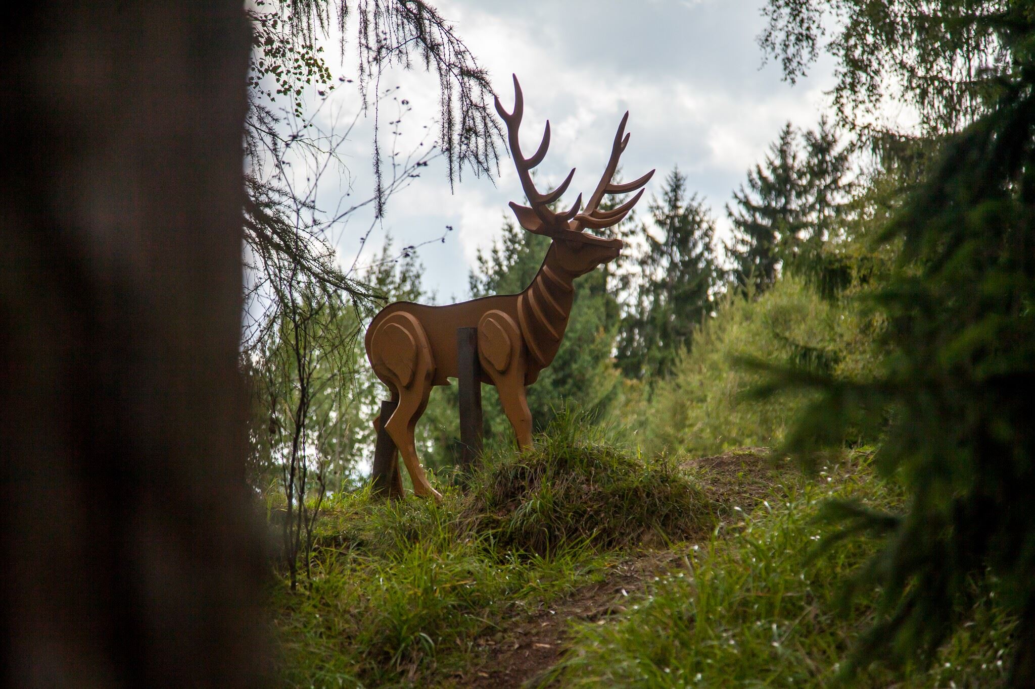 Wildlife adventure trail