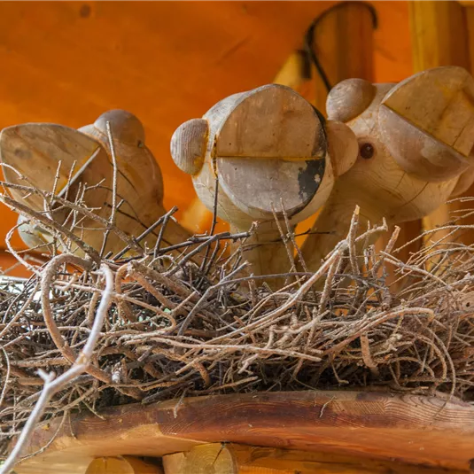 Wildtiererlebnispfad