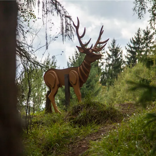 Wildlife adventure trail